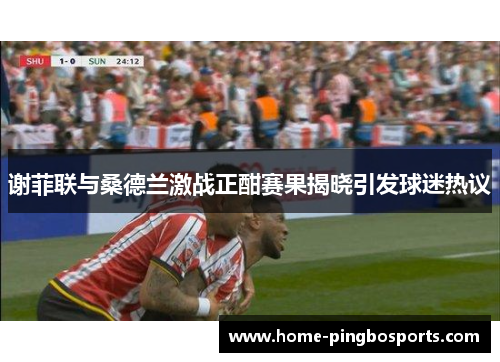 谢菲联与桑德兰激战正酣赛果揭晓引发球迷热议